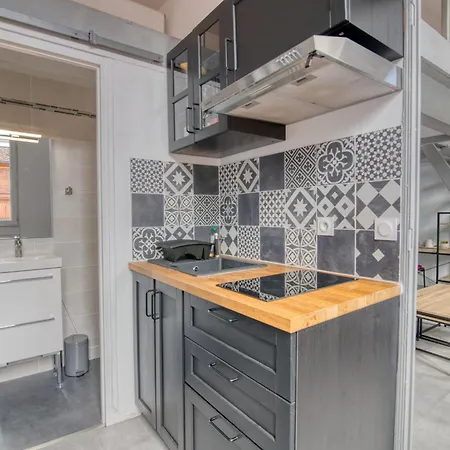 Appartement La Toulouzen Hyper-centre Toulouse