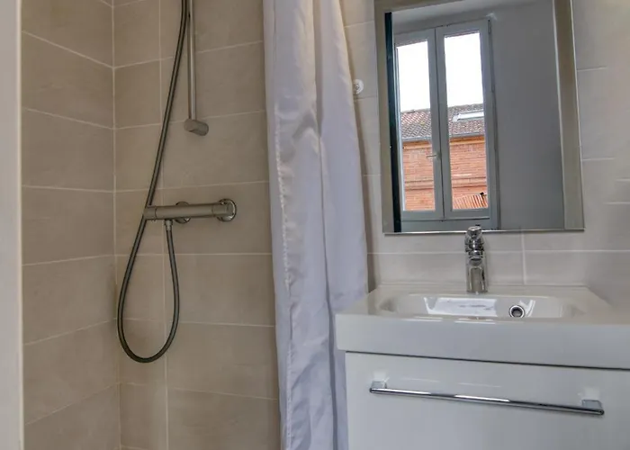 La Toulouzen Hyper-centre Apartamento