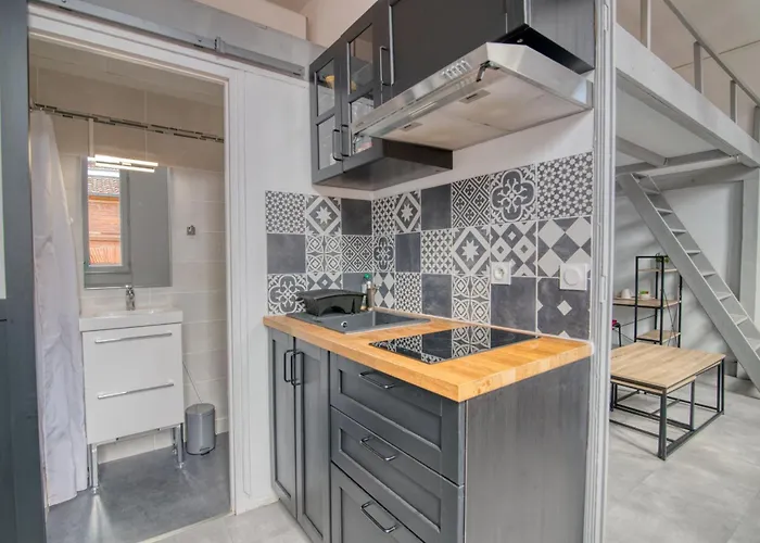 Apartamento La Toulouzen Hyper-centre Toulouse