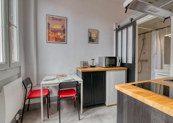 Apartamento La Toulouzen Hyper-centre *